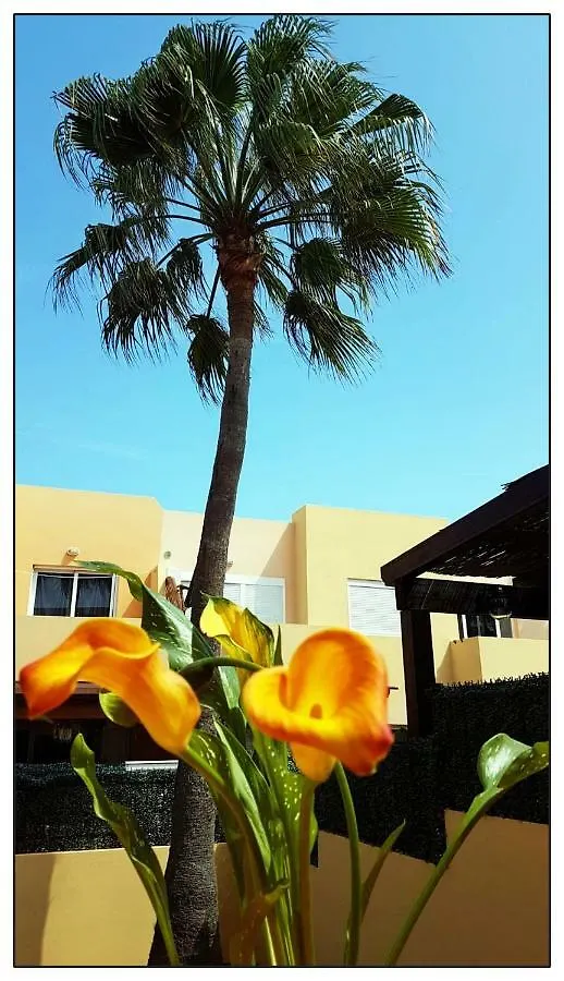Apartamento Lur de la playa Corralejo 0*,
